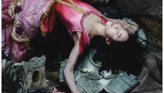 Sleeping Beauty Detroit Ballet