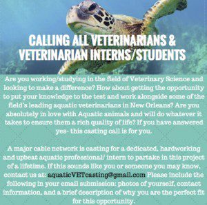 Read more about the article New Show Casting Aquatic Vets and Veterinary Students Nationwide