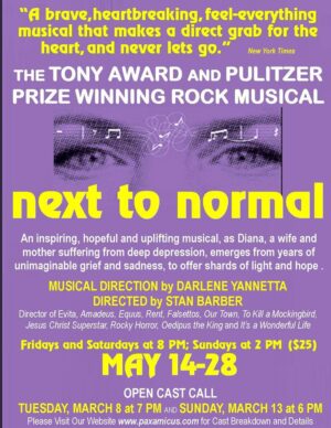Rock Musical “Next To Normal” Holding Open Auditions in New Jersey