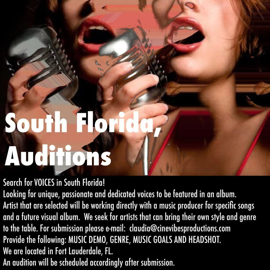 Voice-Audition3