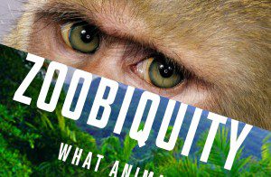 Read more about the article Extras and Stand-ins for “Zoobiquity” TV Pilot in Chicago