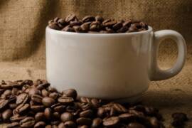 Toronto Canada and GTA area talent for coffee TV commercial