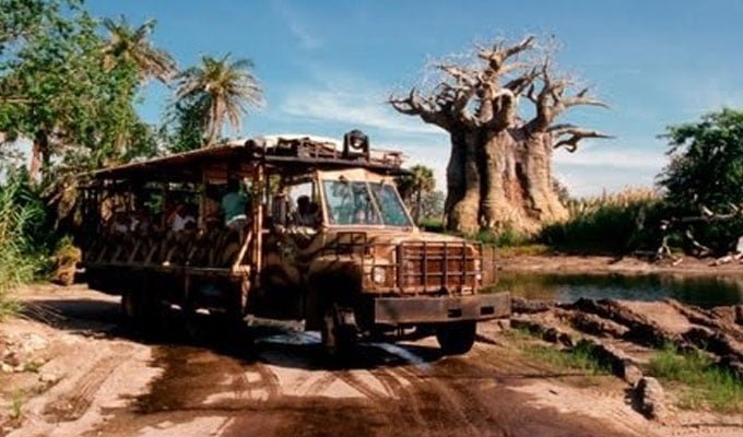 disney-animal-kingdom