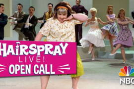 Hairspray auditions