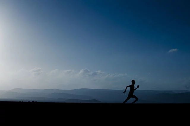 casting call for "The Runner" reality show