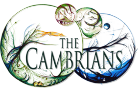 Dance company auditions for The Cambrian