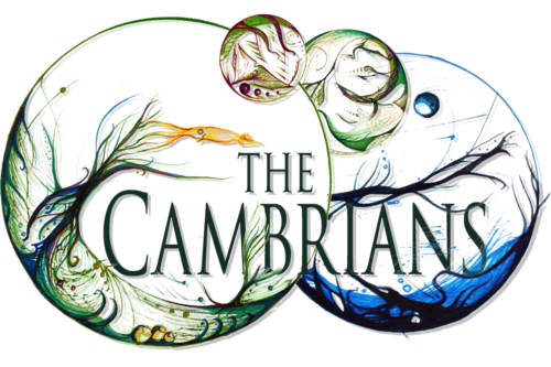 Dance company auditions for The Cambrian