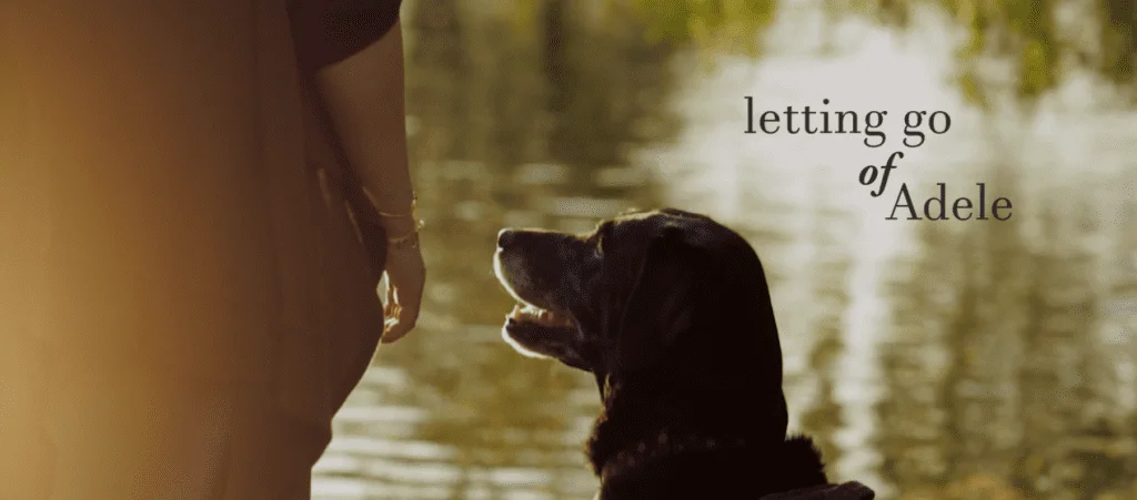 Letting Go of Adele
