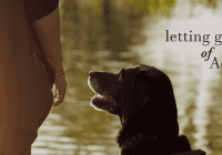 Letting Go of Adele