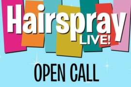 Hairspray Live open call