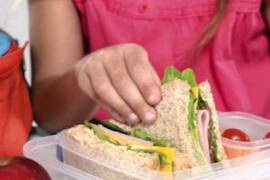 Lunchbox Wars casting