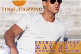 The Mister male modeling contest
