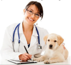 Screen-Shot-2016-05-30-at-10.51.58-AM