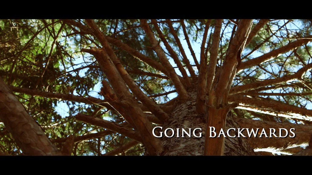 Going Backwards movie