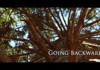 Going Backwards movie