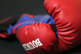 boxing reality show