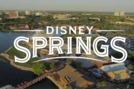 Disney family casting