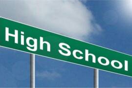 How to Survive High School web series