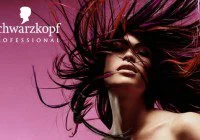 Hair models in Germany
