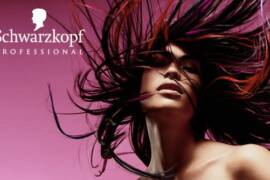 Hair models in Germany