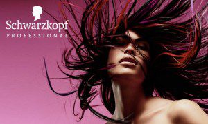Read more about the article Hair Modeling in Hamburg Germany – German Models Only for Schwarzkopf