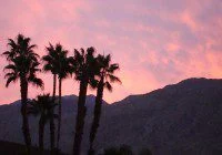 Palm Springs casting call