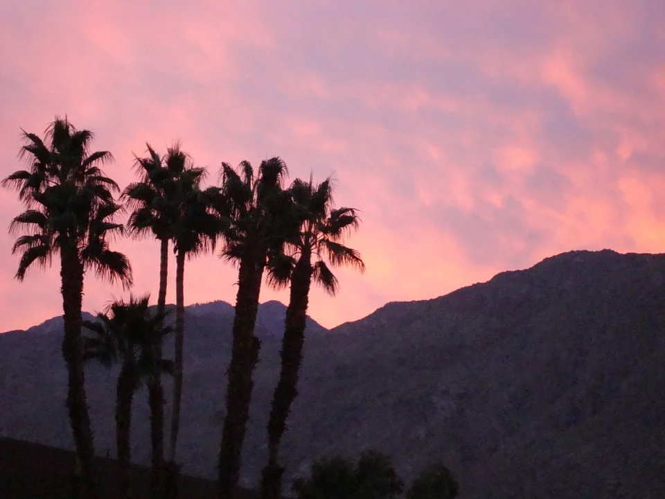 Palm Springs casting call