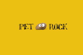 Pet Rock movie auditions in Brisbane