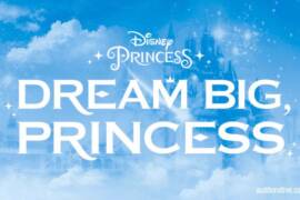 Disney Dream Big
