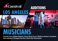 Singer, pop group and musician open call Carnival