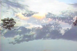 Actors in Boulder Colorado