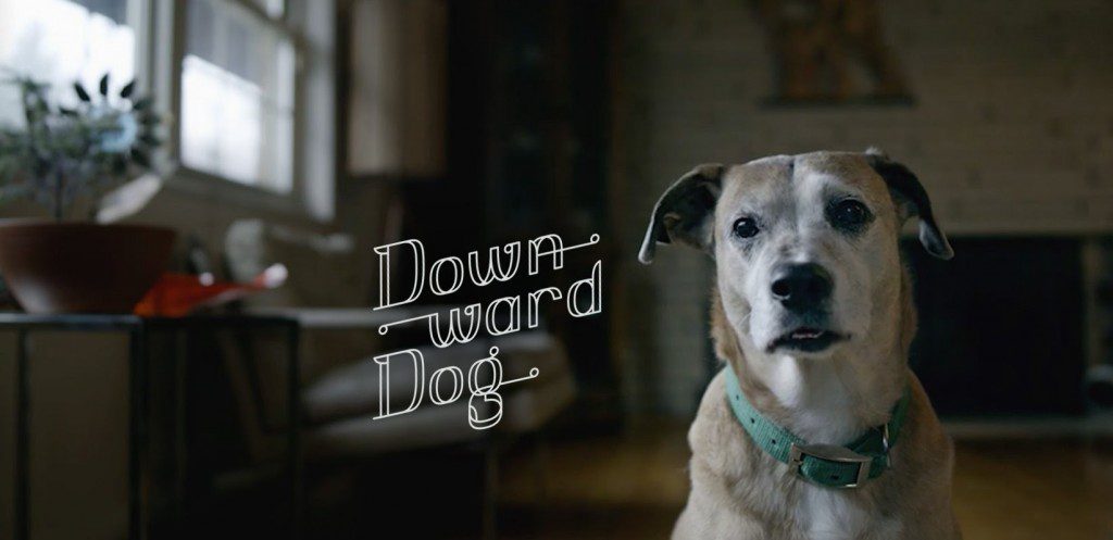 Downward Dog show