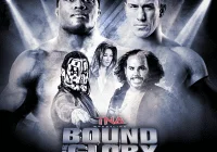 Impact Wrestling audience casting