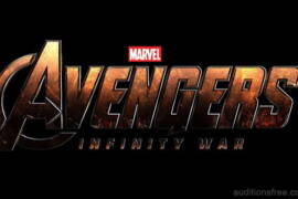 Avengers Infinity War