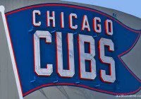 Chicago cubs fans