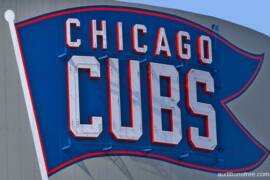 Chicago cubs fans