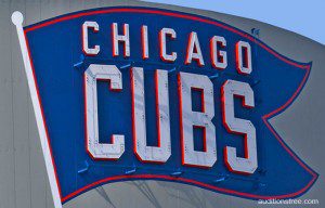 Chicago cubs fans