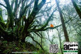 One with Nature Movie