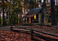 cabin woods