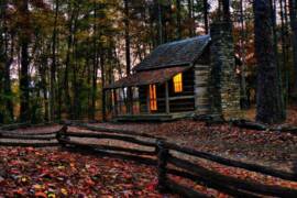 cabin woods