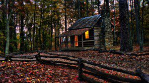 cabin woods