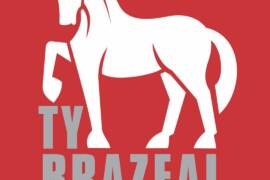 Ty Brazeal Horsemanship
