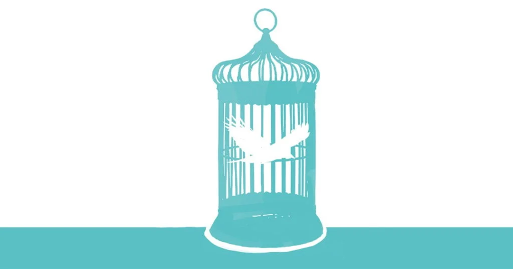 cover_cuckoos_nest