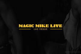 Magic Mike Live auditions