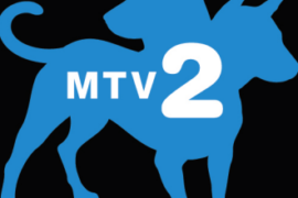 MTV2 Cast call in L.A.