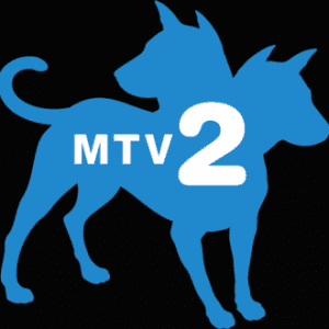 MTV2 Cast call in L.A.