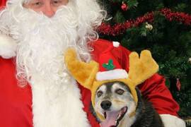 santa actors