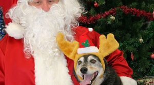 Casting Actors Who Love Dogs To Play Santa in Multiple Cities and States