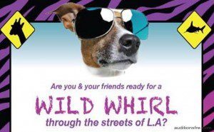 New Cable Network Show Casting Animal Lovers in Los Angeles