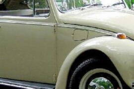 A Charming Killer movie